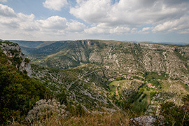 troncs empil&eacute;s dans champ